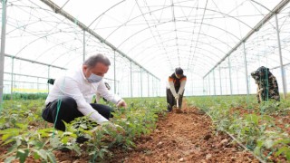 Büyükşehirden mevsimlik tarım işçilerine destek