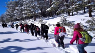 Çatacık Ormanları ekoturizme açılıyor