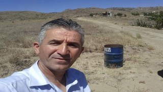 Ceviz ağacından düşen muhtar ağır yaralandı