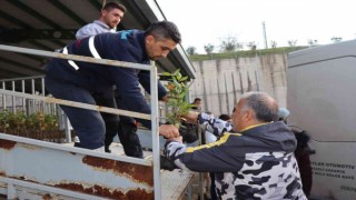 Çiftçilere süper meyve fidanı dağıtıldı