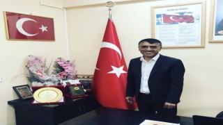 Çıldırda Satranç Turnuvası başlıyor