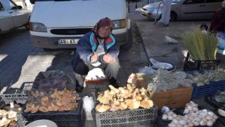 Çıntar köylünün geçim kaynağı oldu