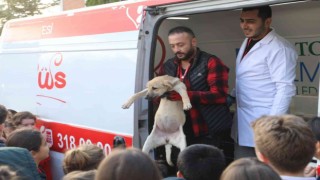 Çocuklar hayvan saldırılarına karşı bilinçlendirildi