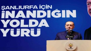 Cumhurbaşkanı Erdoğandan pamuk ve ay çiçek müjdesi