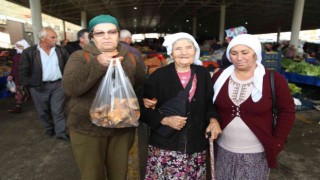 Dağdan toplanan çıntar, tezgahlara indi