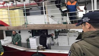 Didimde su ürünleri denetimi yapıldı