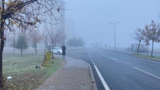 Diyarbakırda 4 gündür etkili olan sis nedeniyle uçak seferleri iptal edildi
