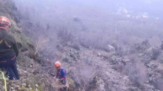 Diyarbakırda kayalıklarda mahsur kalan inek AFAD ekiplerince kurtarıldı