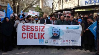 Doğu Türkistandaki hak ihlalleri adım adım soykırımdır