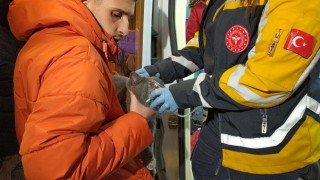 Dumanlar arasında kalan kedi, polis ekiplerince kurtarıldı