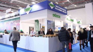 Düzce, turizm hedefini büyüttü