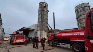 Düzcede fabrika yangını korkuttu