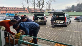 Eflanide ilk kaz satışı yapıldı