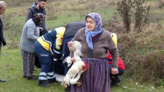 Ekipler yaralılar, köylü kadınlar tavuklar için seferber oldu