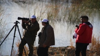 Elazığda foto safari etkinliği