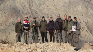 Elazığda yaban keçisi envanter çalışması yapıldı