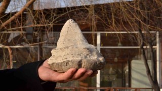 Elbistanda köpekbalığının atası sayılan 20 milyon yıllık megalodon dişi bulundu