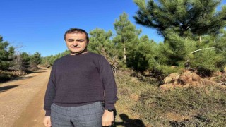 ‘‘Endüstriyel plantasyonlar, doğal ormanların korunmasına çare oluyor