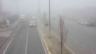 Erzincanda sis ve soğuk hava etkili oldu