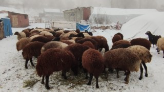 Erzurumda kar yüzünü gösterdi