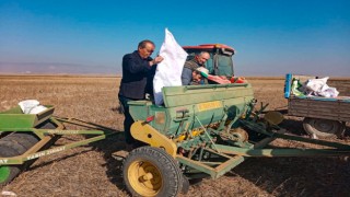 Eskişehirde 44 çeşit yerli ve milli tohum yeşerecek