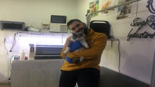 Evcil hayvanlara mikroçip taktırma için son gün 31 Aralık