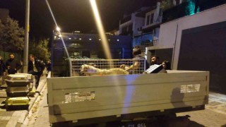Evinde çok sayıda kedi köpek ölüsü bulunan kadın akıl hastanesine sevk edildi