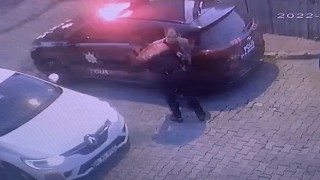 Fatihte 8 aylık süs köpeğine bıçak darbesi