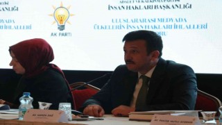 Geçtiğimiz yıl 12 ülkede insan hakları ihlalleriyle ilgili 548 haber yer aldı