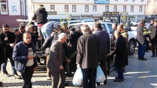 Gevaşta vatandaşlara fidan dağıtımı