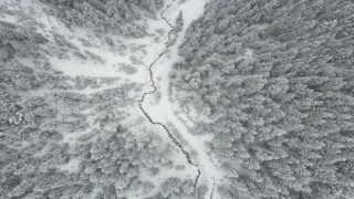 Giresun yaylaları beyaz örtüyle kaplandı