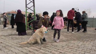 Gönüllü vatandaşlar sokak hayvanları için yuva yaptı