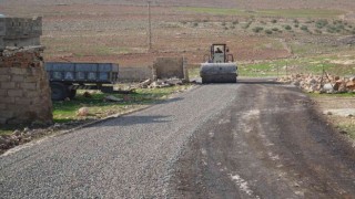 Haliliyeye yeni yollar kazandırılıyor