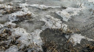 Hava sıcaklığının eksi 5e düştüğü Erzurum buz tuttu