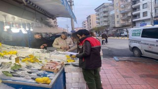 Iğdırda balık satışı yapan işyerleri denetlendi