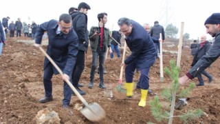 İnönü Üniversitesinde bin fidan toprakla buluşturuldu