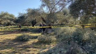 İnşaat işçileri gördü, polise haber verdi
