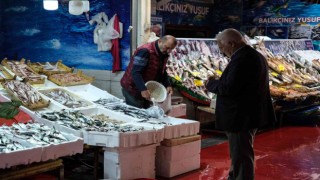 İstanbulda balık tezgahlarının en ucuz balığı 70 TL ile hamsi oldu