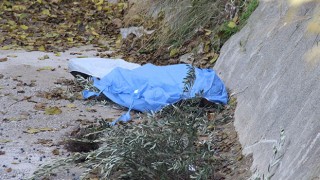 İzmir Buca'da Zeytin toplamak için çıktığı ağaç sonu oldu