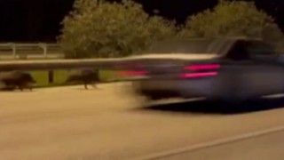 İzmirde otomobilin domuza çarpma anı kamerada