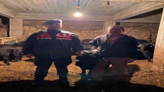 Jandarma kayıp keçileri dron ile buldu