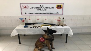 Jandarma uyuşturucu baskını yaptığı adreste silah ve tarihi eserde ele geçirdi