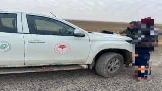 Kaçak avcılara suçüstü