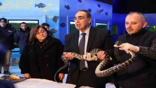 Kaçak yollarla yurda sokulan 108 hayvanın yeni yuvası Gaziantep oldu