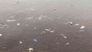 Kadıköyü lodos vurdu, Caddebostan sahilini plastik atıklar kapladı
