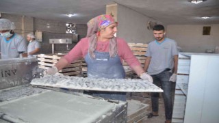 Kadın girişimci aldığı destekle lokum üretim tesisini kurdu