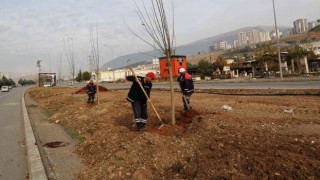 Kahramanmaraşta 10 bin ağaç ve yüz binlerce çiçek toprakla buluşturuldu
