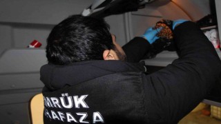 Kapıkulede kaçakçılık operasyonu: 1 milyon liralık kaçak trüf mantarı ve kehribar ele geçirildi