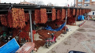 Karaağaç biberi kurutma mesaisinde sona gelindi