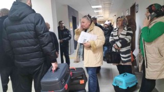 Karabükte evcil hayvanlar için çip ve aşı yoğunluğu yaşanıyor